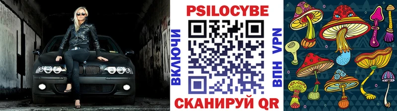 продажа наркотиков  Первомайск  ссылка на мегу зеркало  маркетплейс Telegram  Псилоцибиновые грибы мицелий 